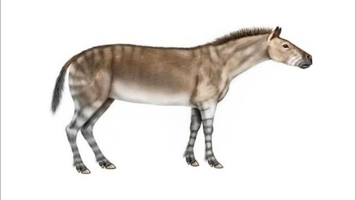 Анхитерий и гиппарион