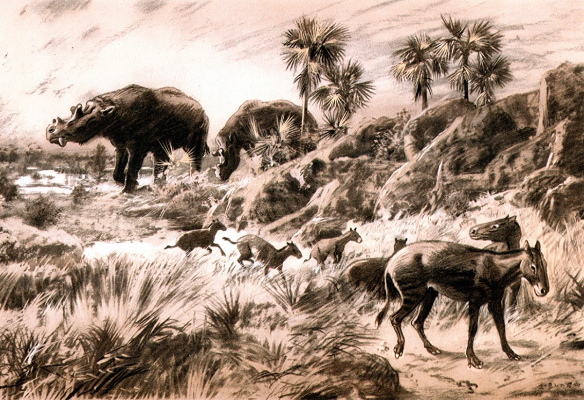 Зденек Буриан (1905-1981)