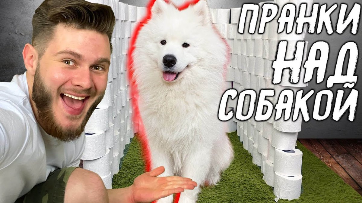 Фрост собака