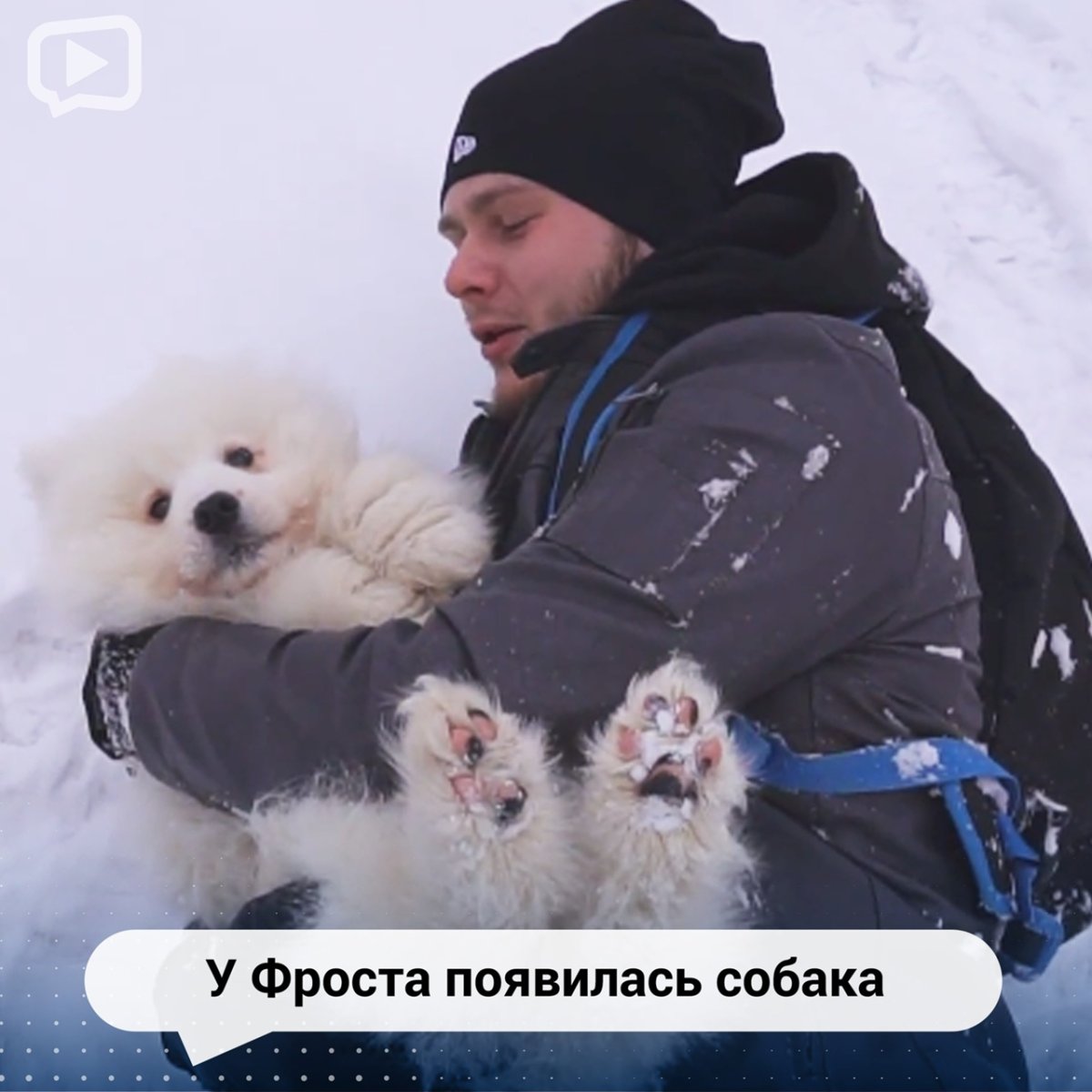 Собака Фроста