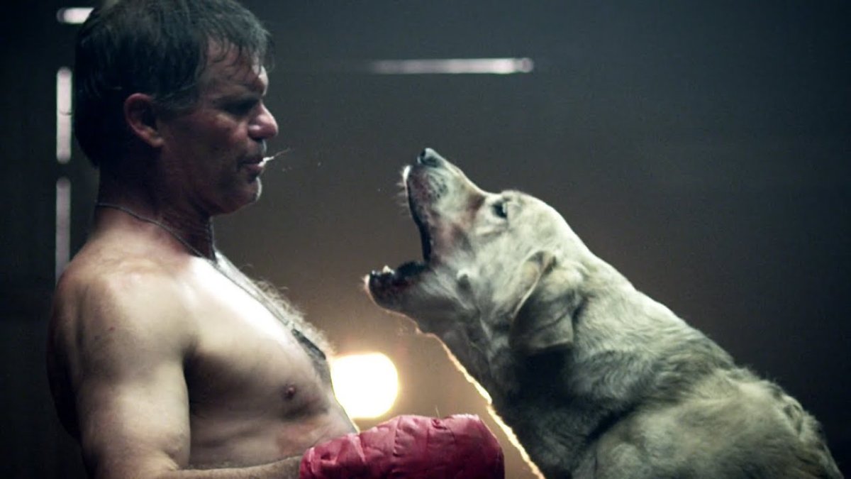 Фильм про бойцовскую собаку