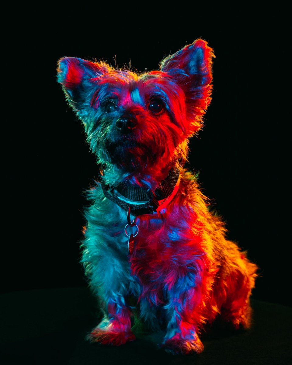 Яркие цвета