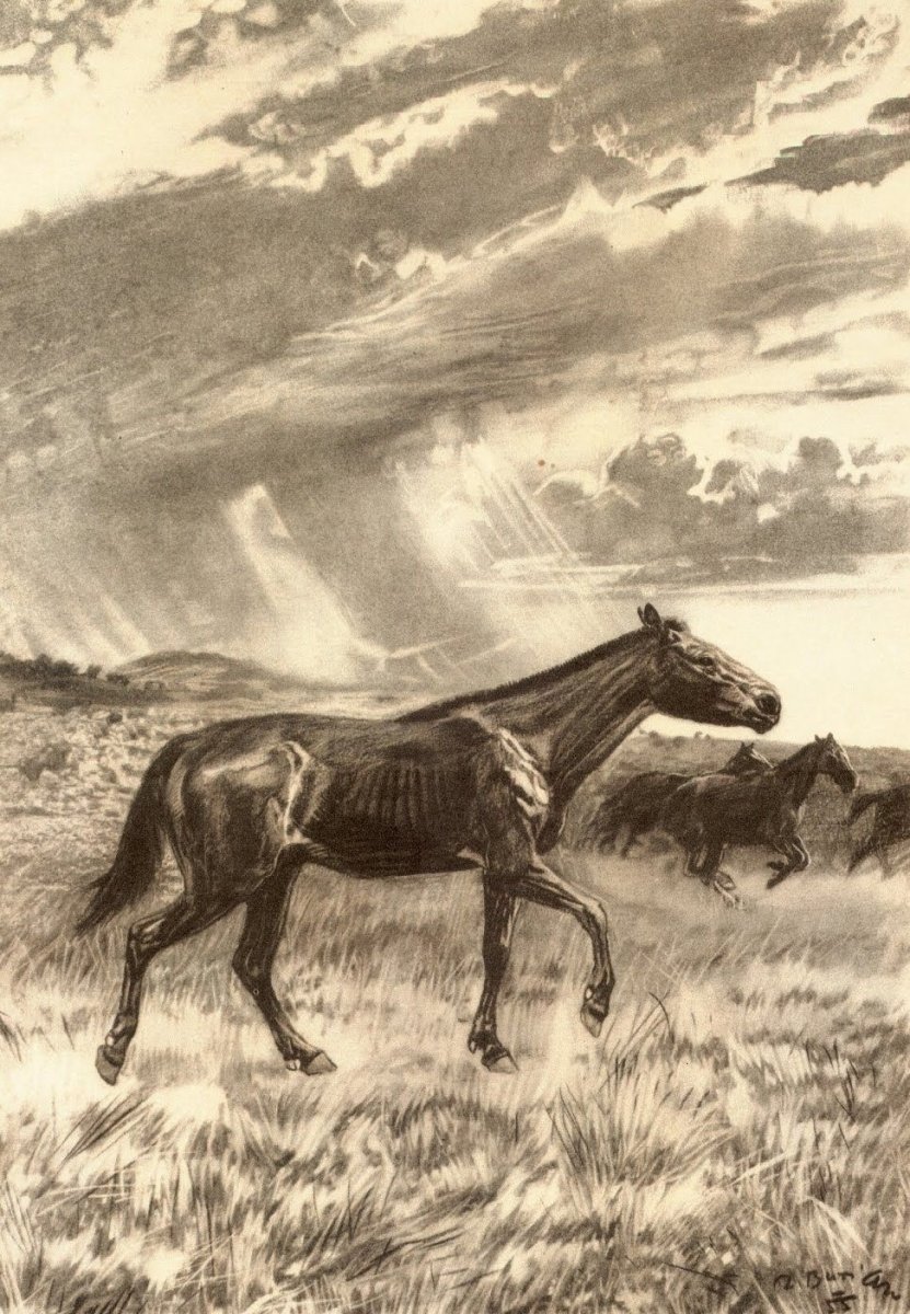 Художник Зденек Буриан