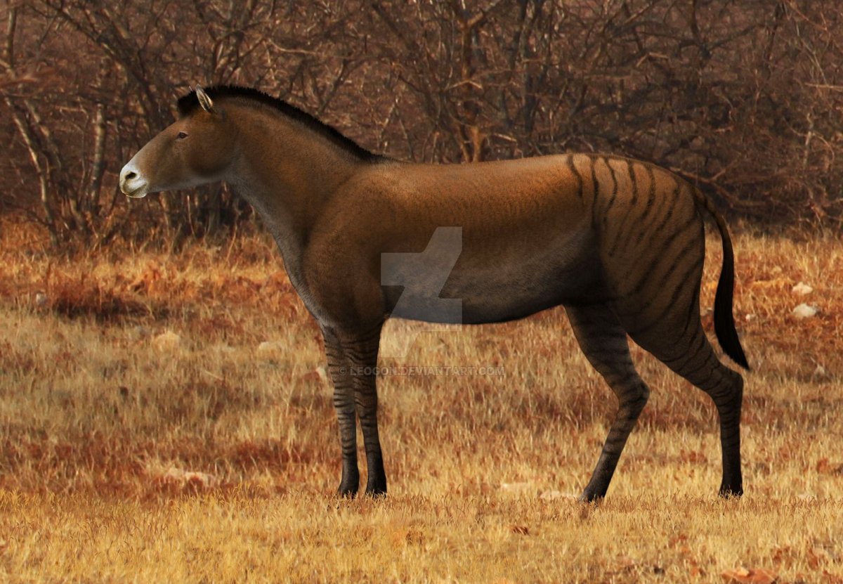 Гиппарион предок лошади