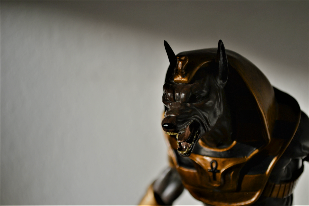 Анубис порода собака Анибус