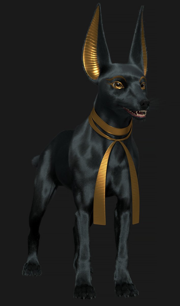 Ксолоитцкуинтли Анубис