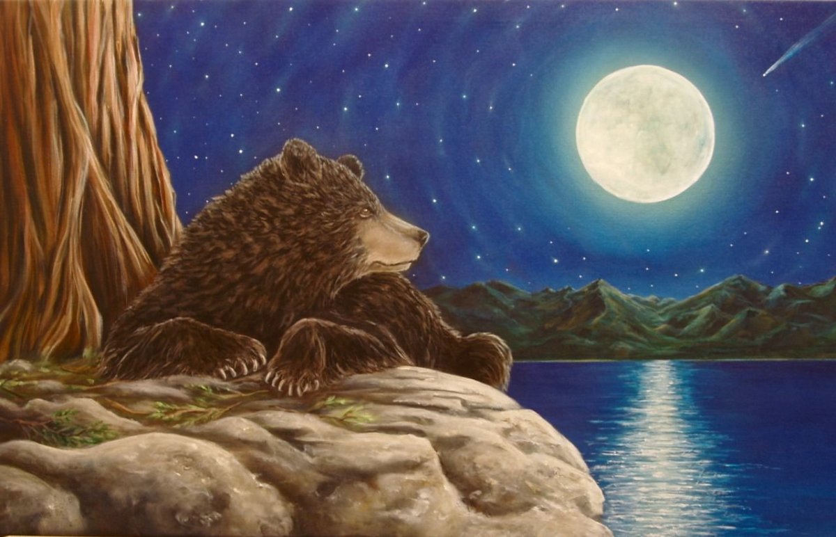 Медведь ночью