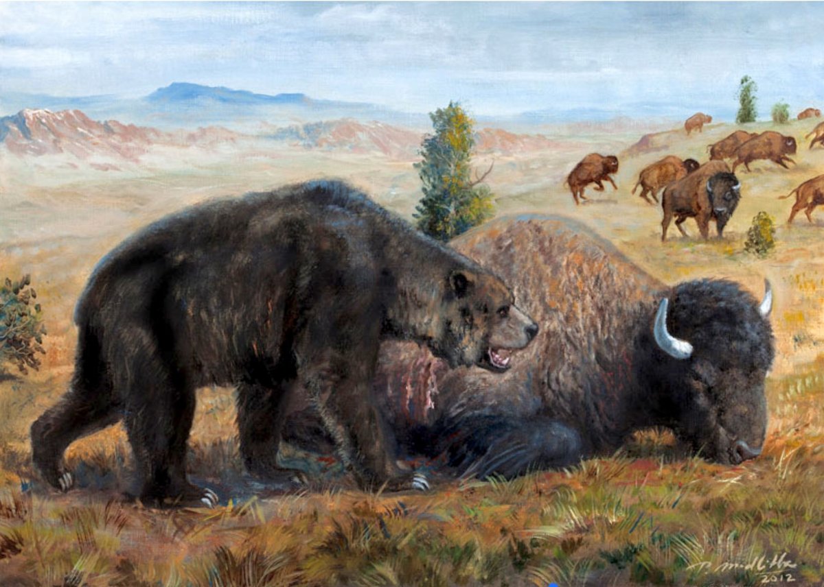 Короткомордый пещерный медведь