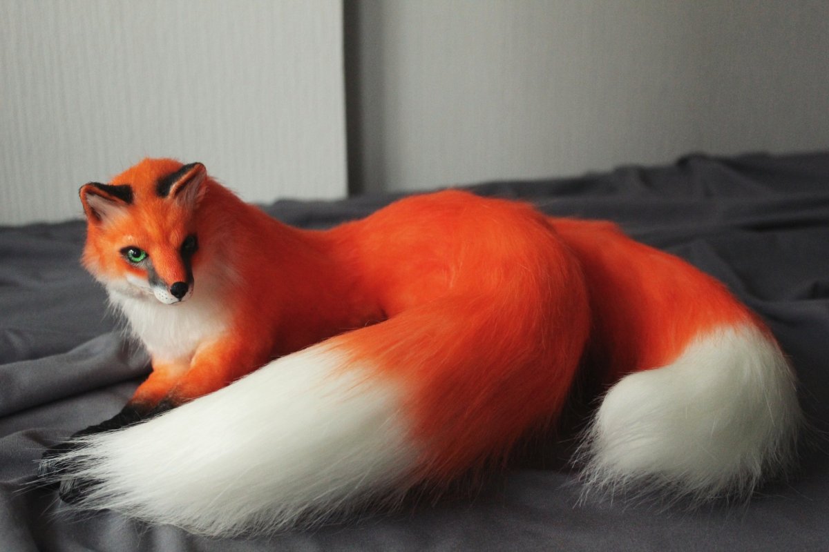 Японский хвост лисы