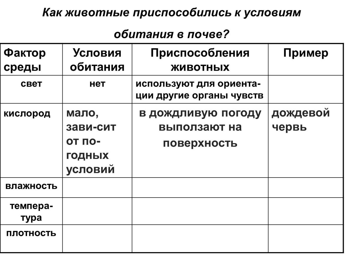 Приспособленность организмов к среде обитания почвенная среда