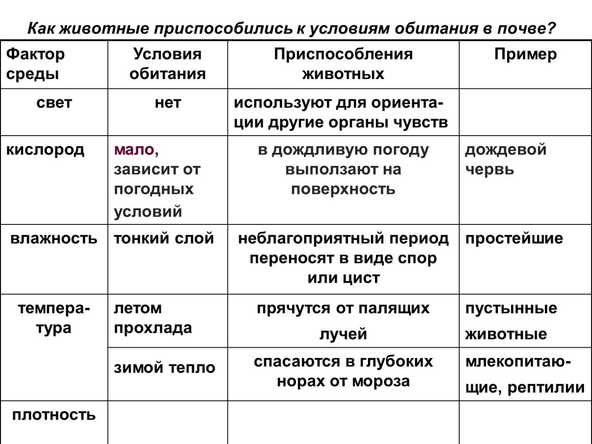 Приспособление животных в почвенной среде обитания таблица