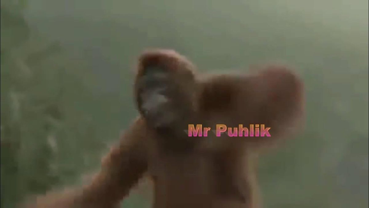 Обезьяна чичичи