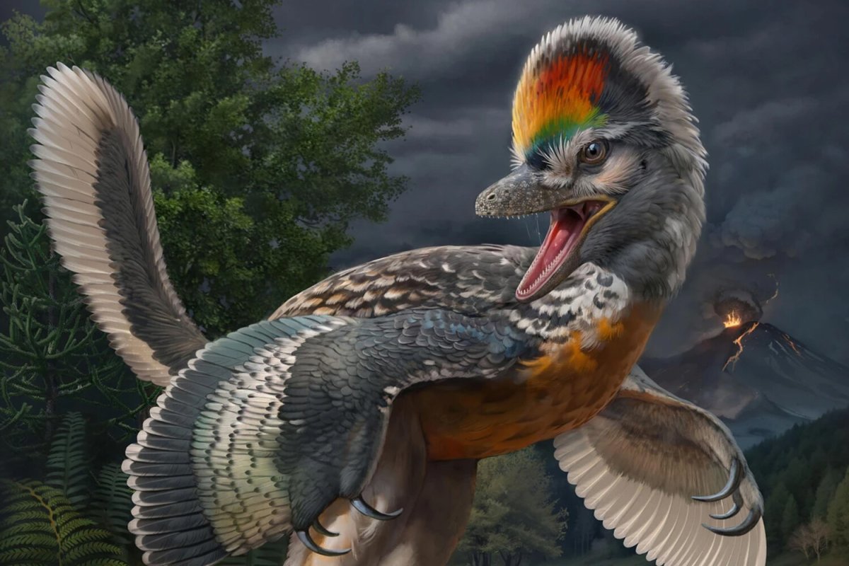 Gabriel Ugueto Quetzalcoatlus