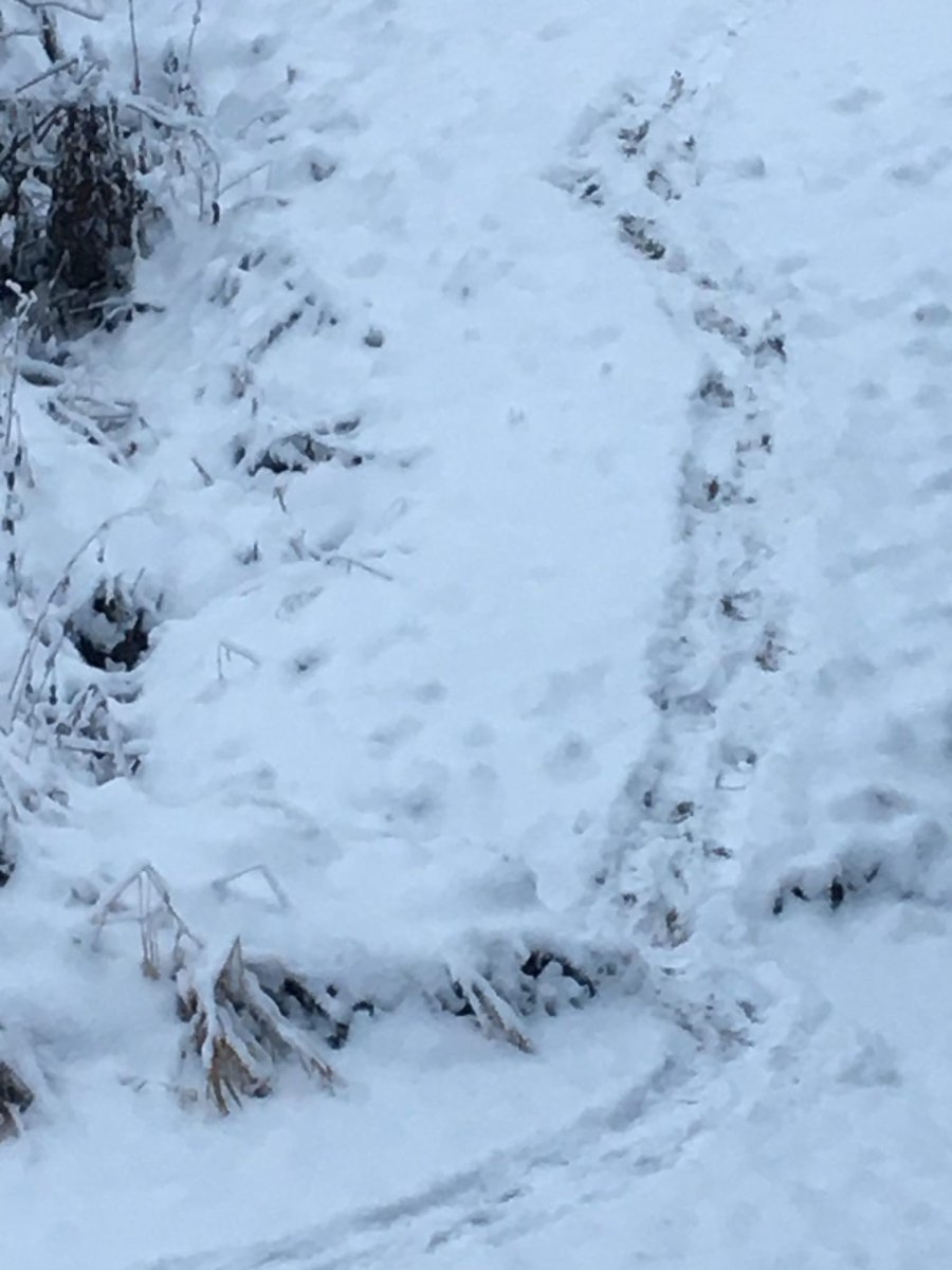 След первый