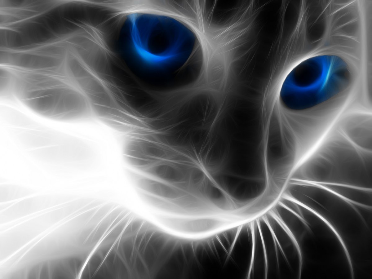 Кошка 3д