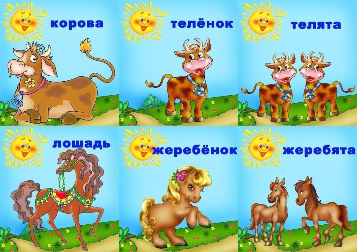 Изображения домашних животных для детей