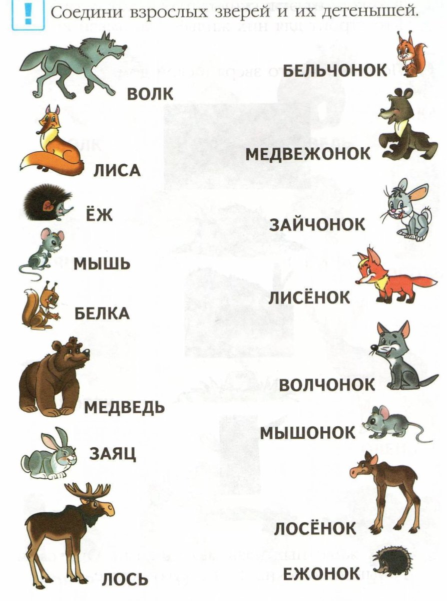Домашние и Дикие животные для детей