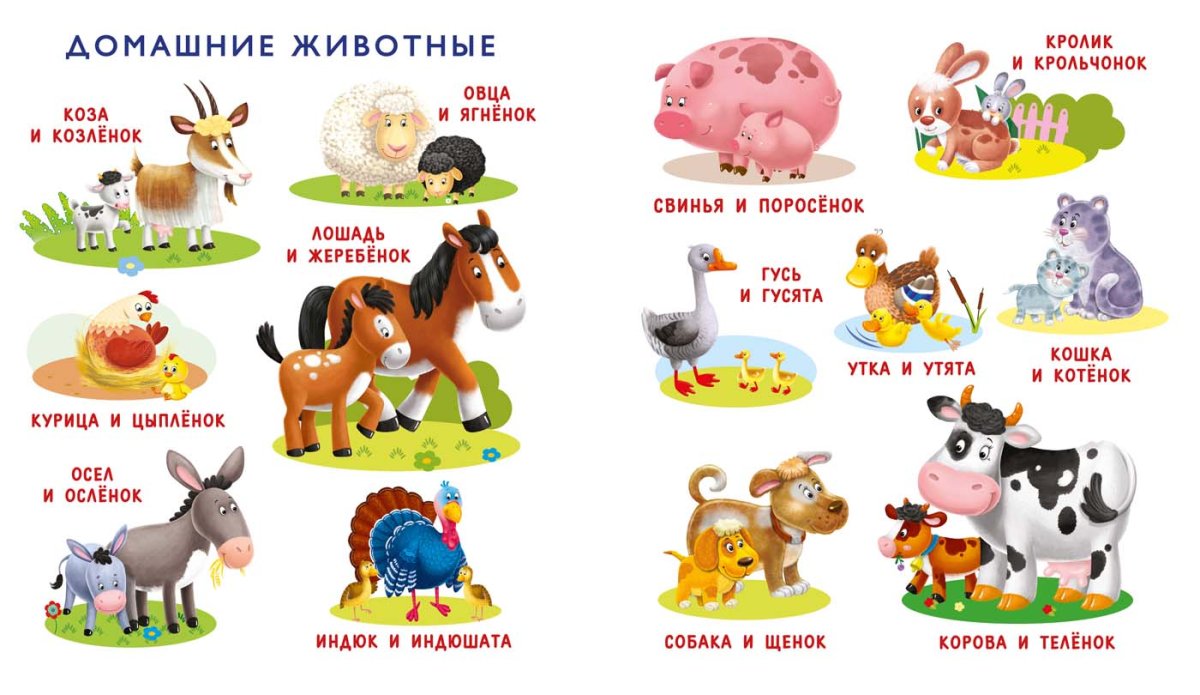 Домашние животные для самых маленьких