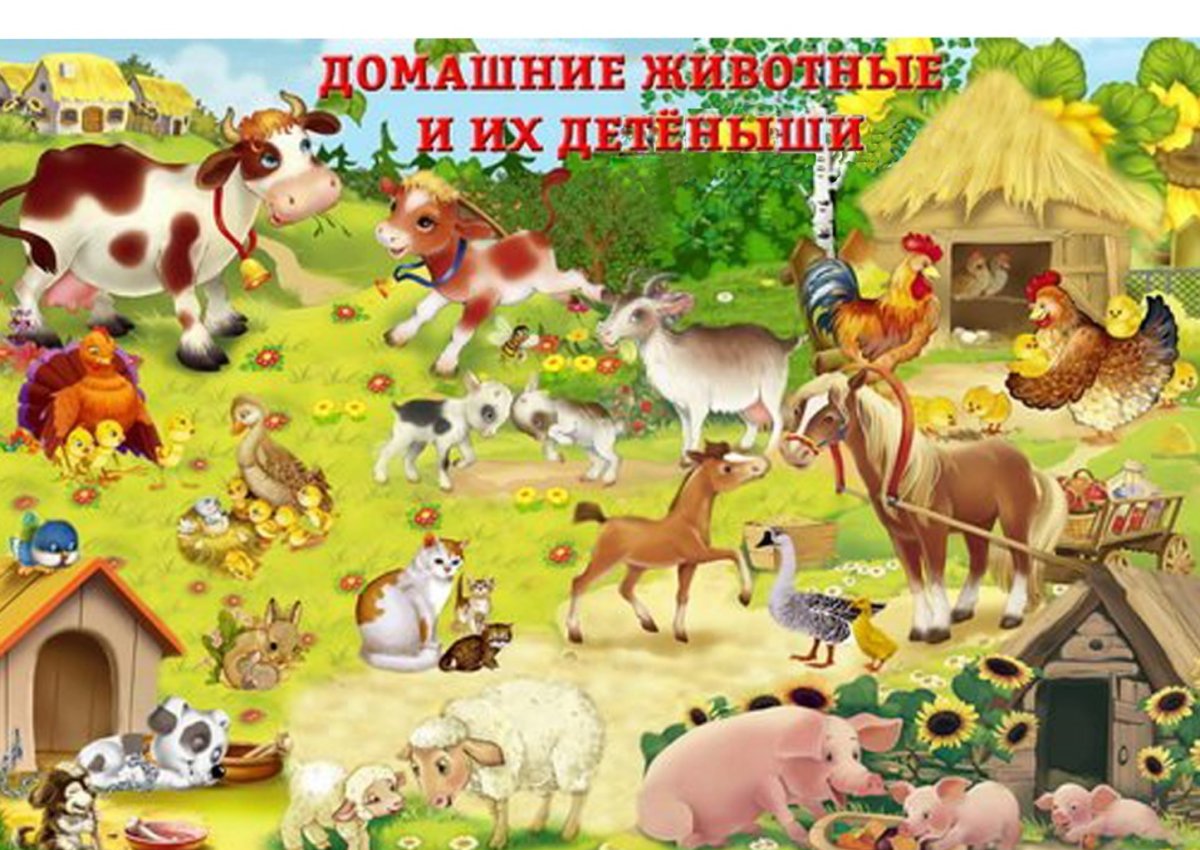 Дошниеживотные для детей