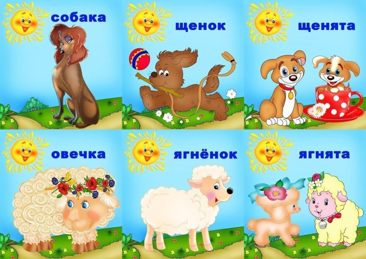 Карточки животных для детей
