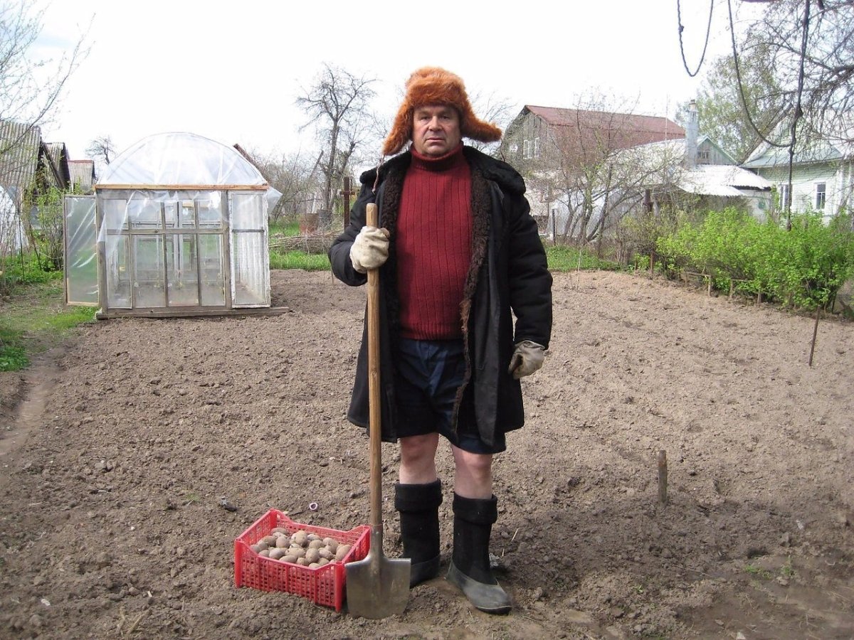 Смешные дачники