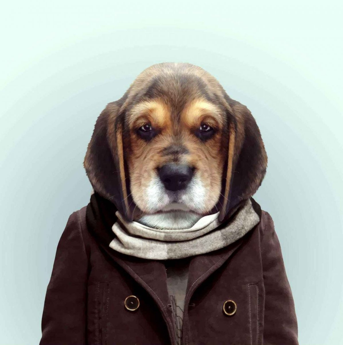 Животные в костюмах