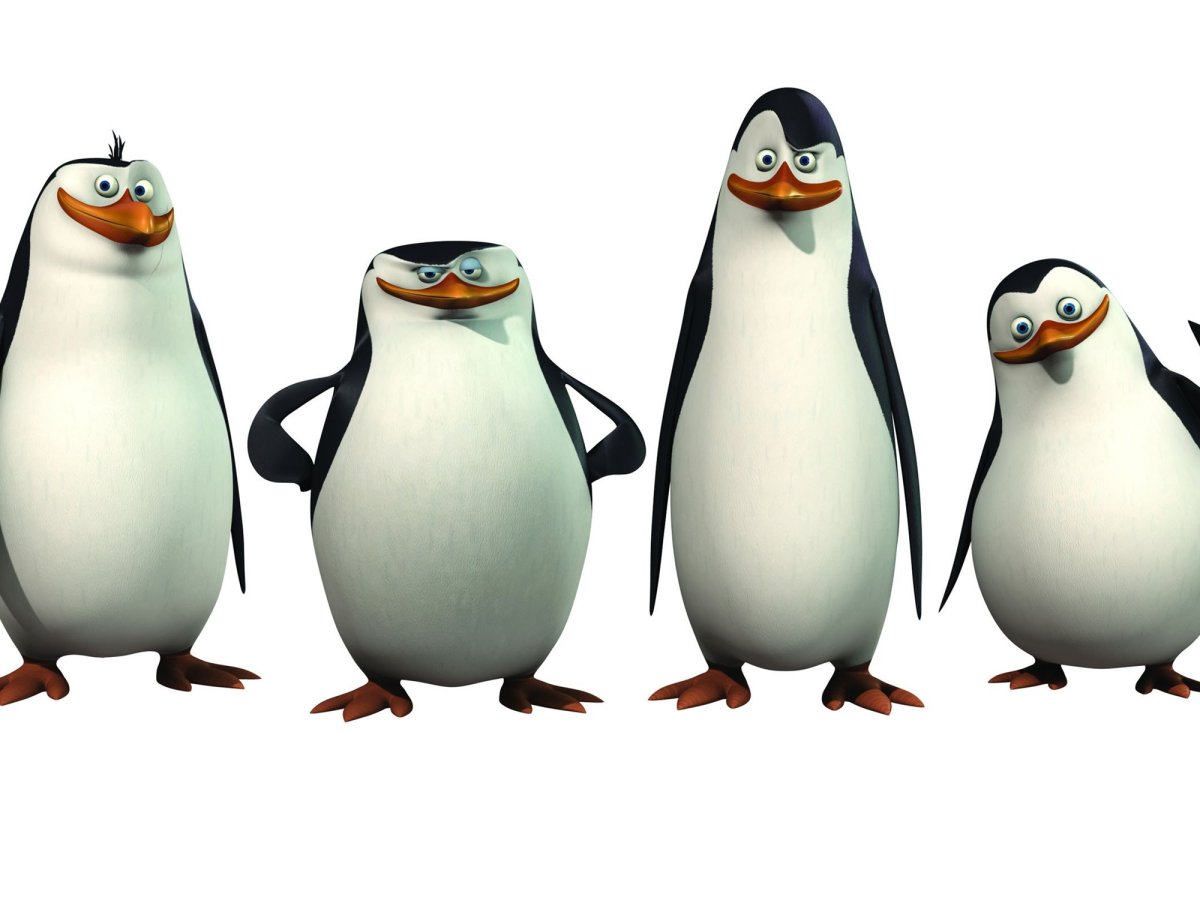 Шкипер Ковальски Рико и рядовой