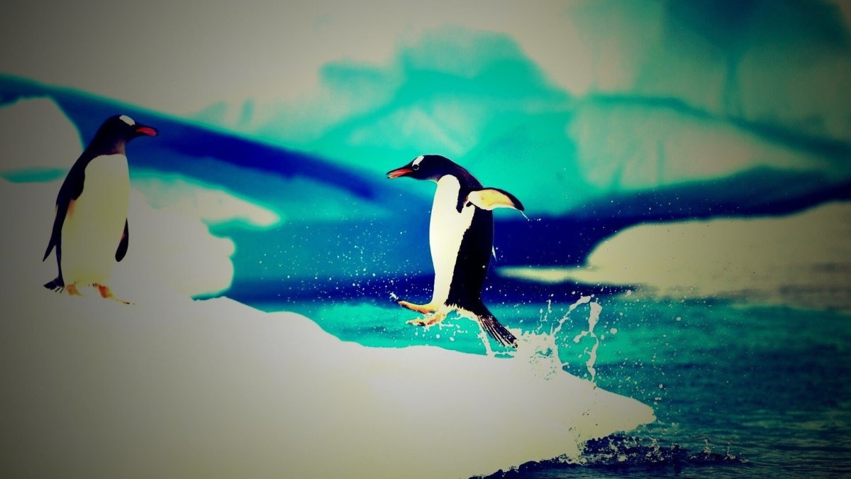 Пингвин картинка