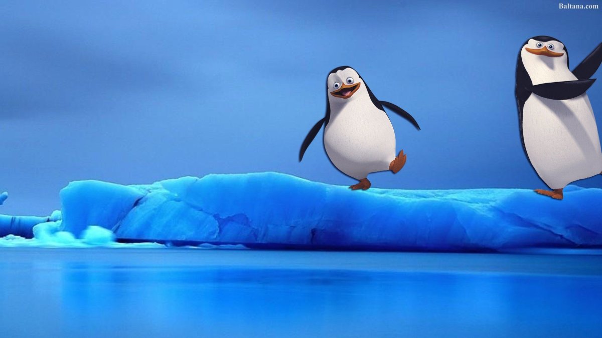 Мудрый Пингвин