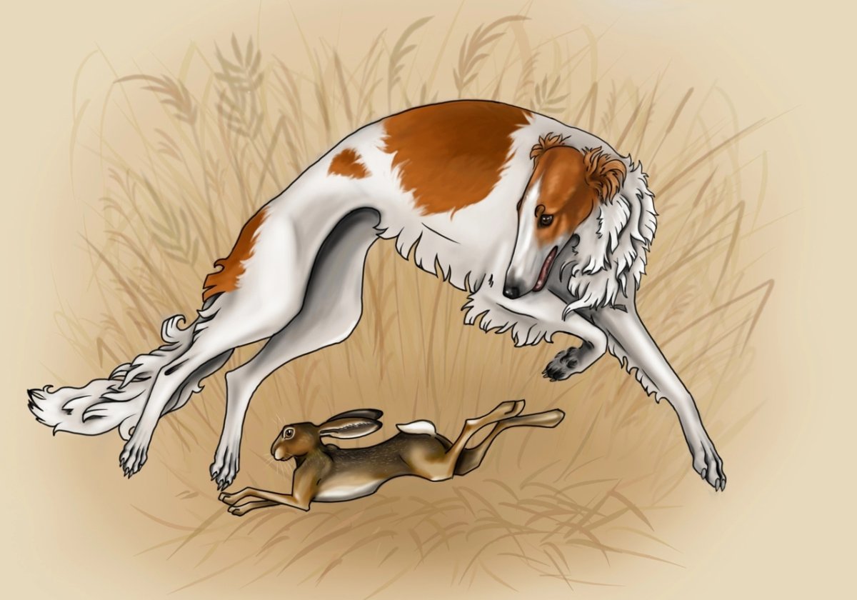 Две собаки иллюстрация