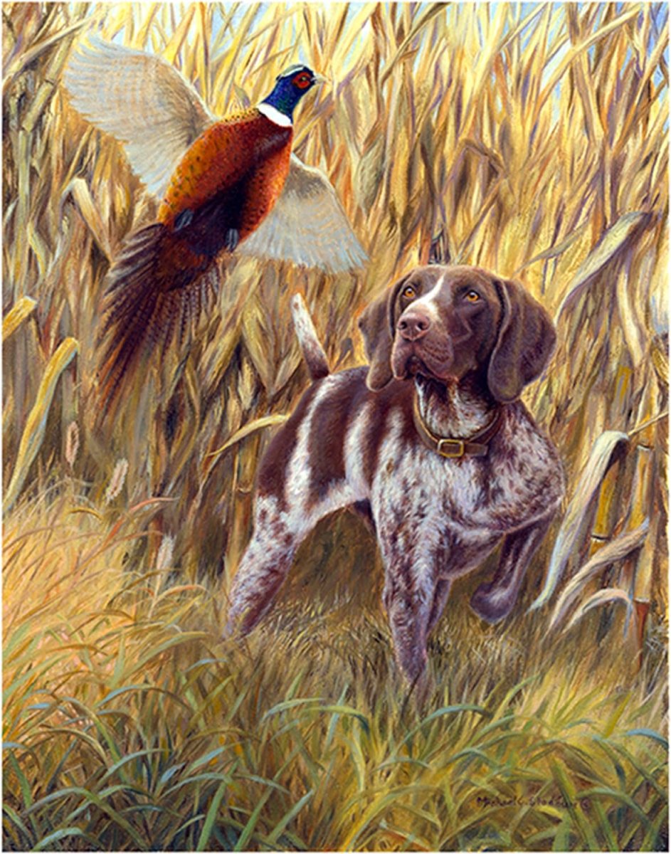 Риолис охота Курцхаар