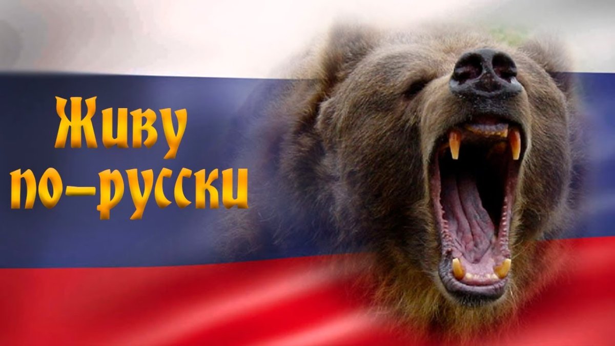 Медведь на фоне российского флага