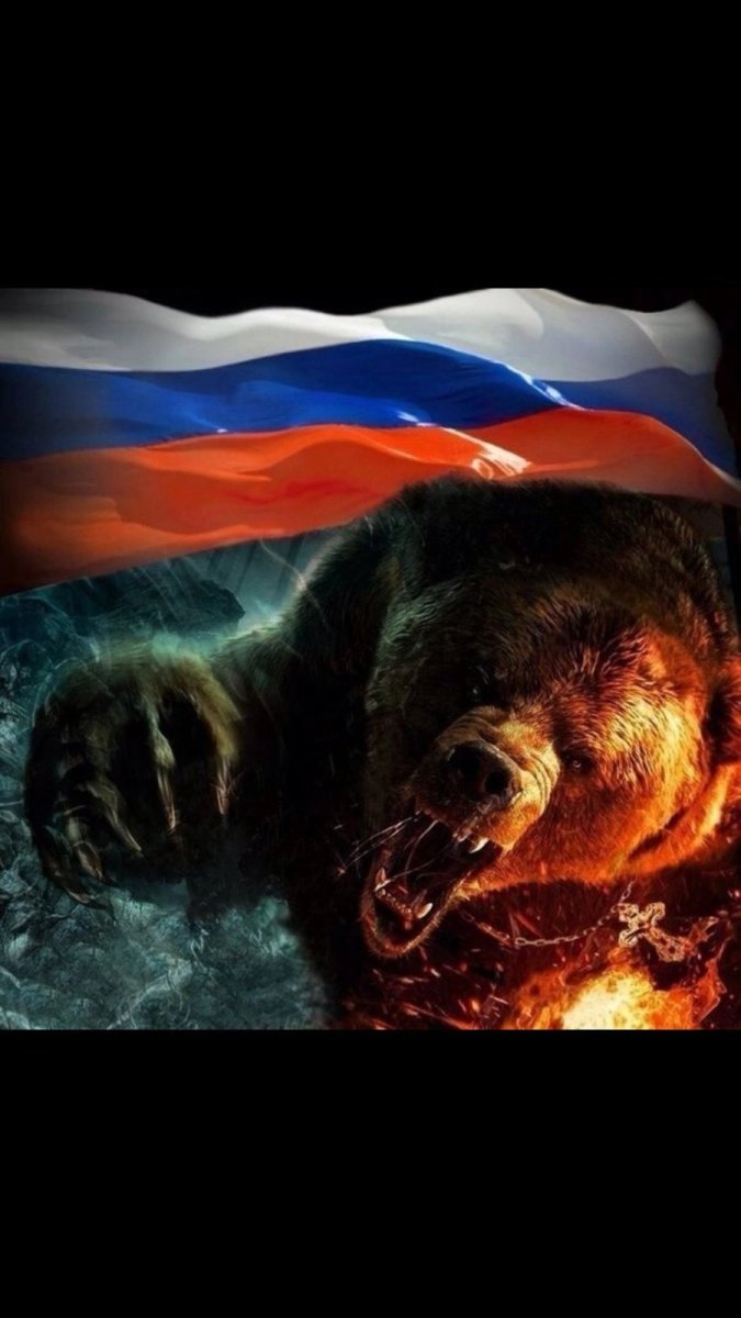 Медведь Россия