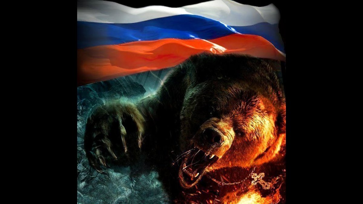 Медведь на фоне флага