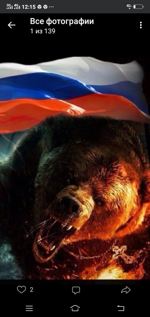 Злой медведь Россия