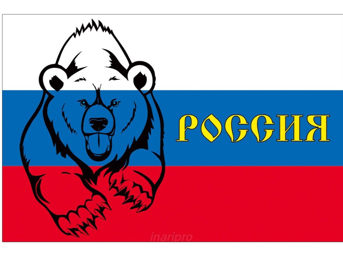 Медведь Россия