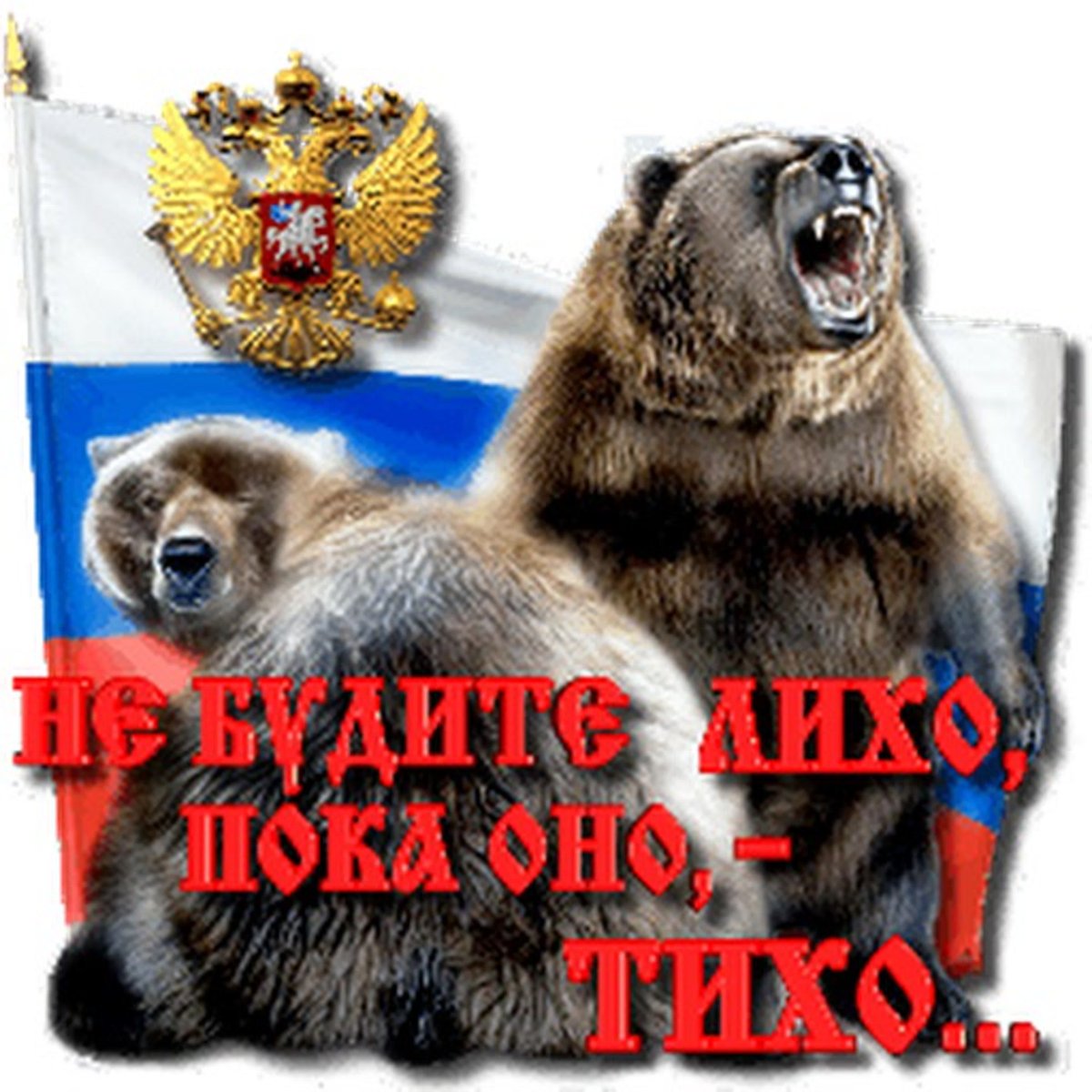 Российский флаг с медведем