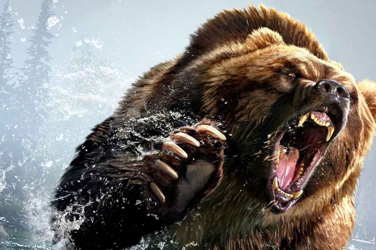 Злой медведь