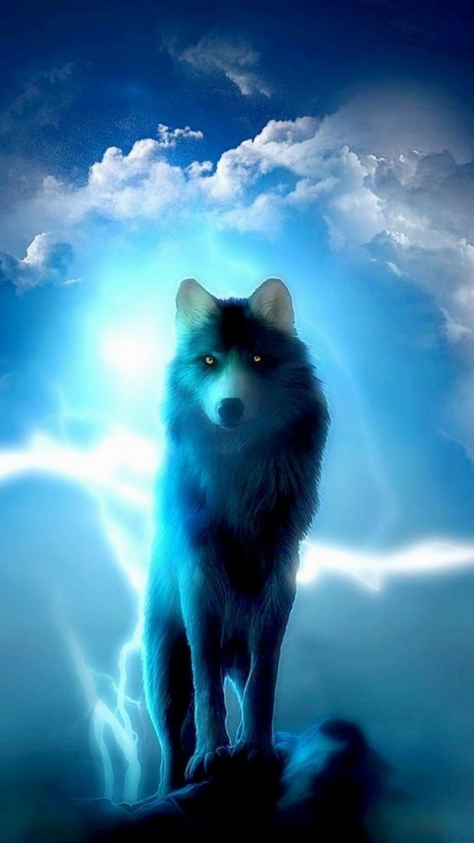 Волк в ночи