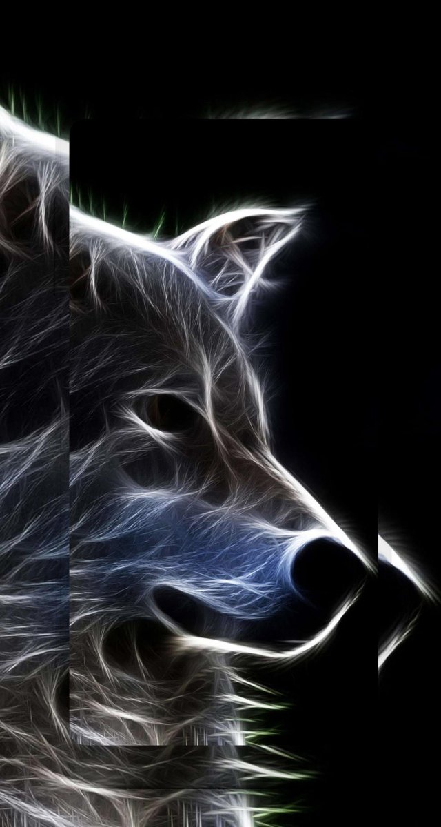 Волк рисунок