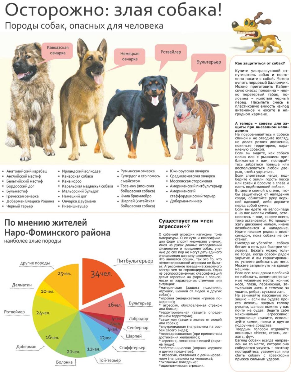 Список самых опасных пород собак