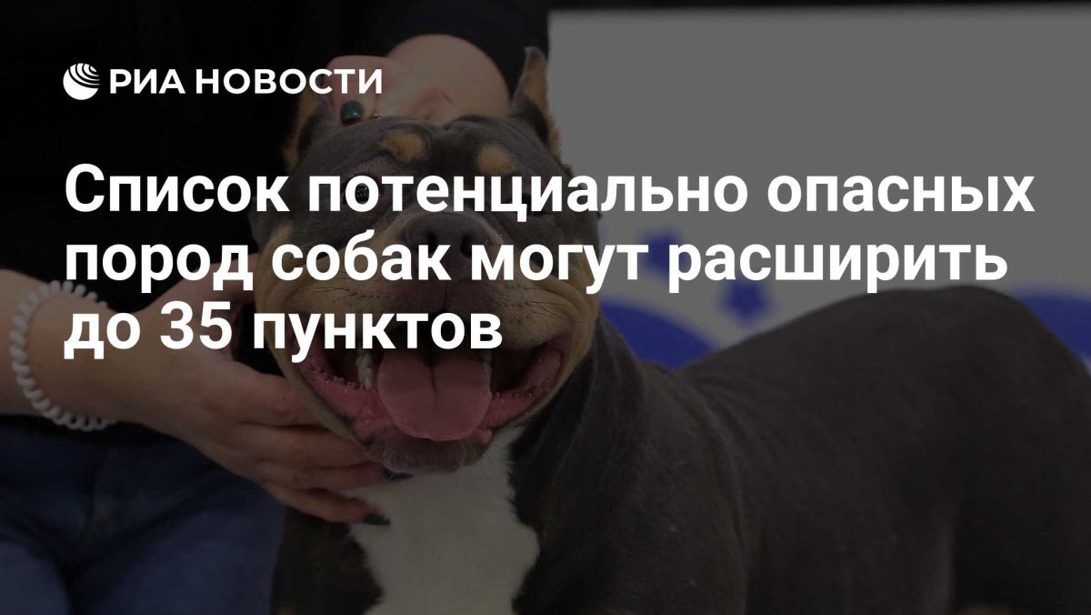 Список опасных пород собак в России