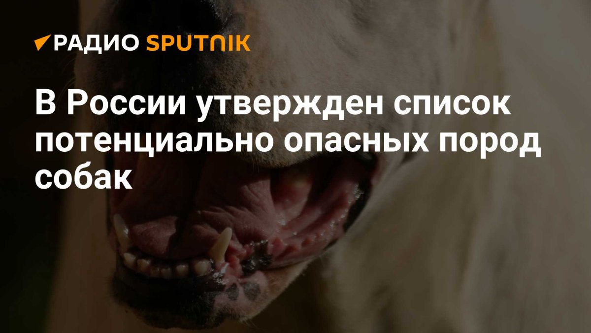 Список потенциально опасных пород собак