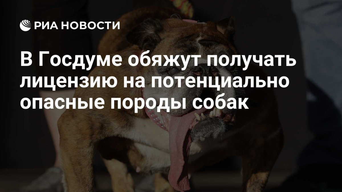 Опасные породы собак