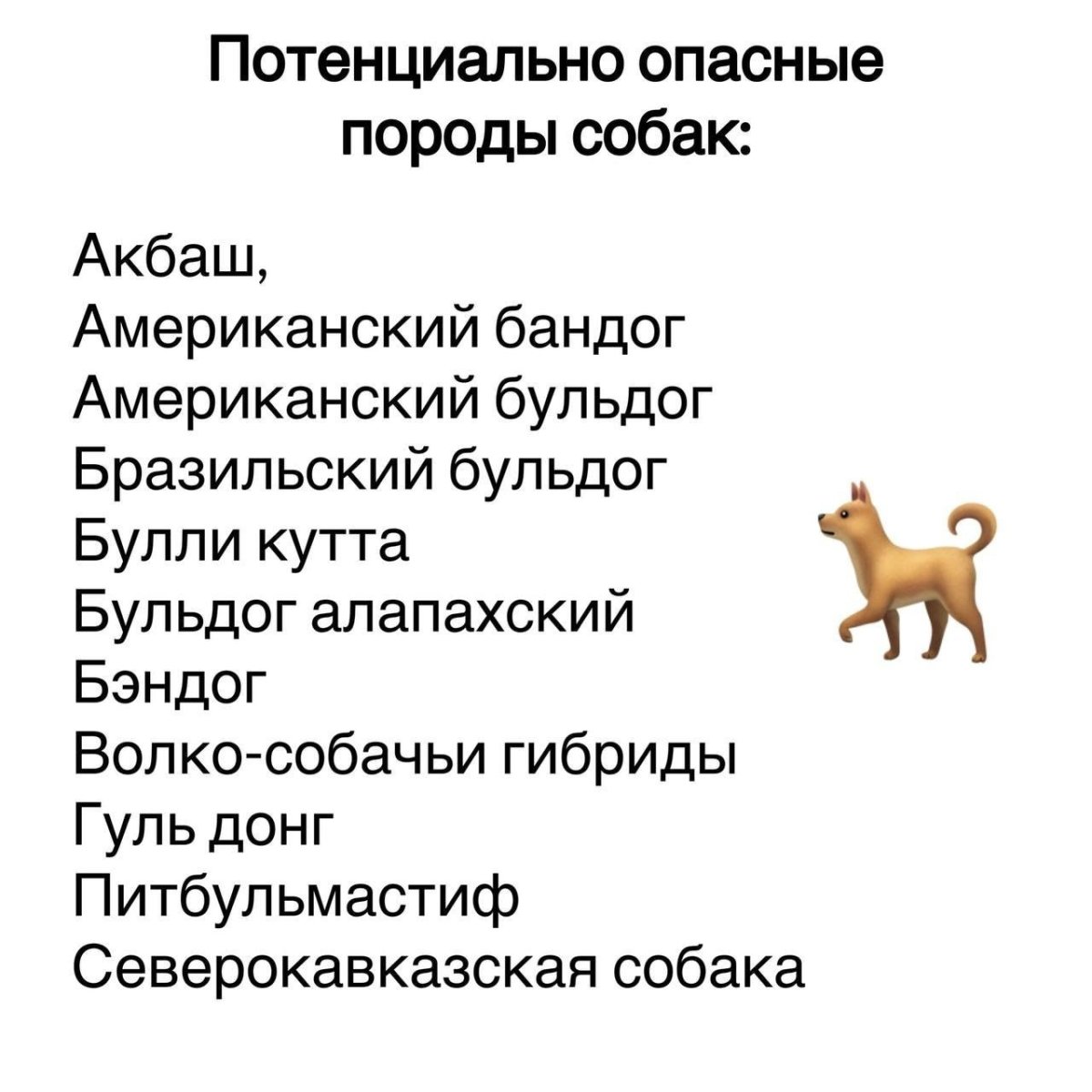 Породы собак