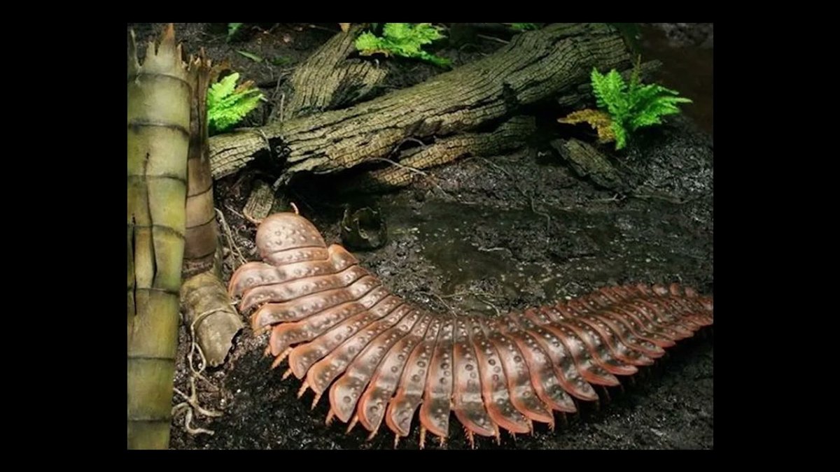 Артроплевра Палеозойская Эра