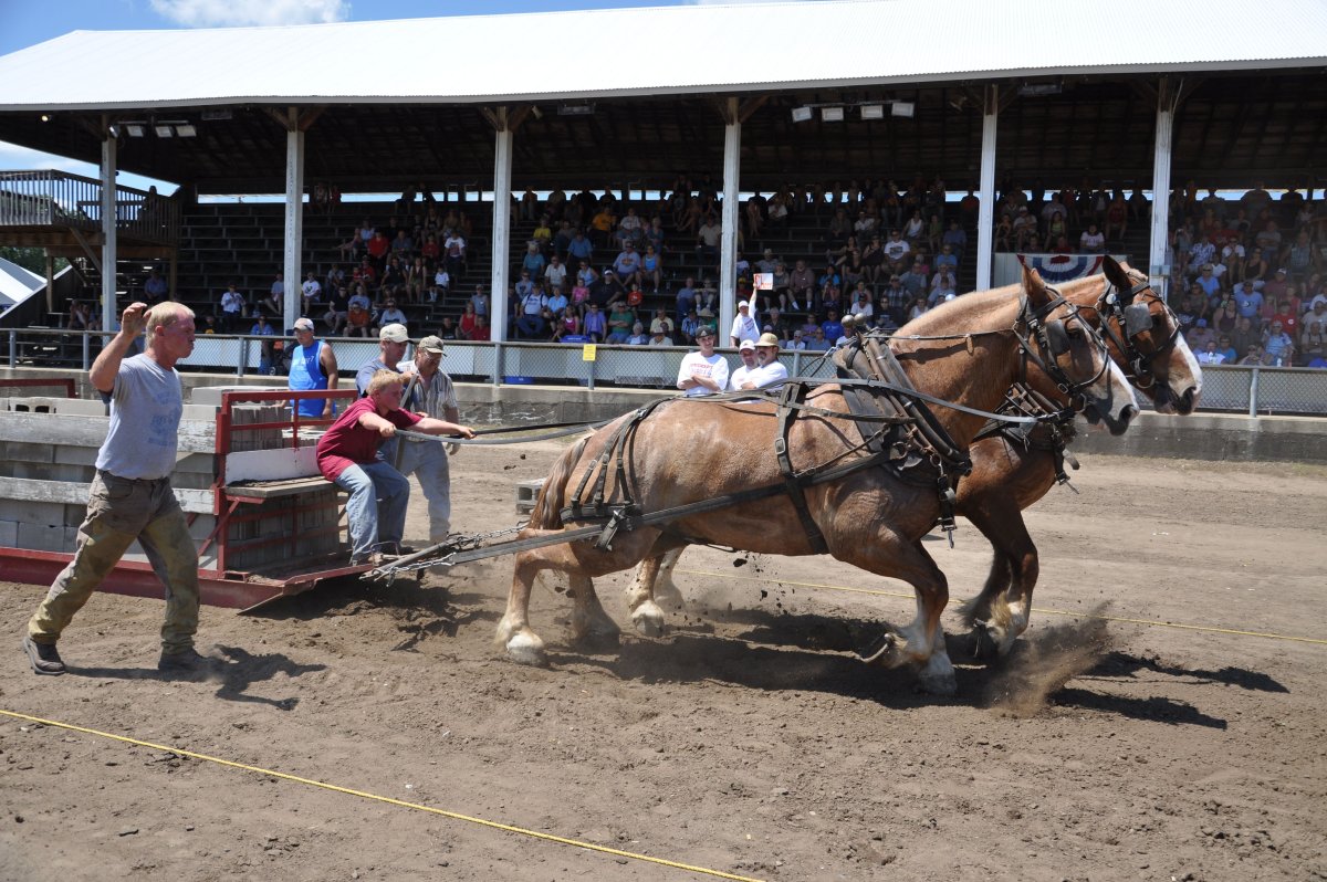 Владимирский тяжеловоз соревнования
