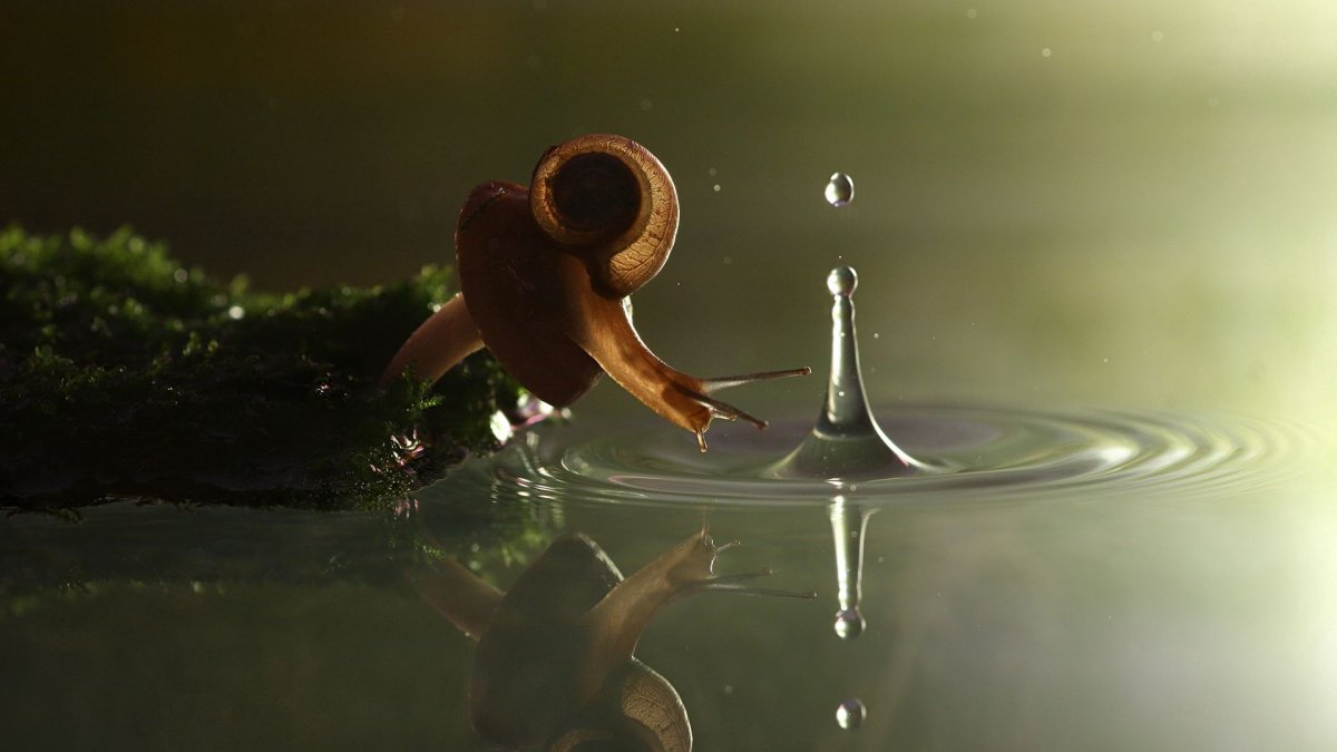 Капля падает в воду