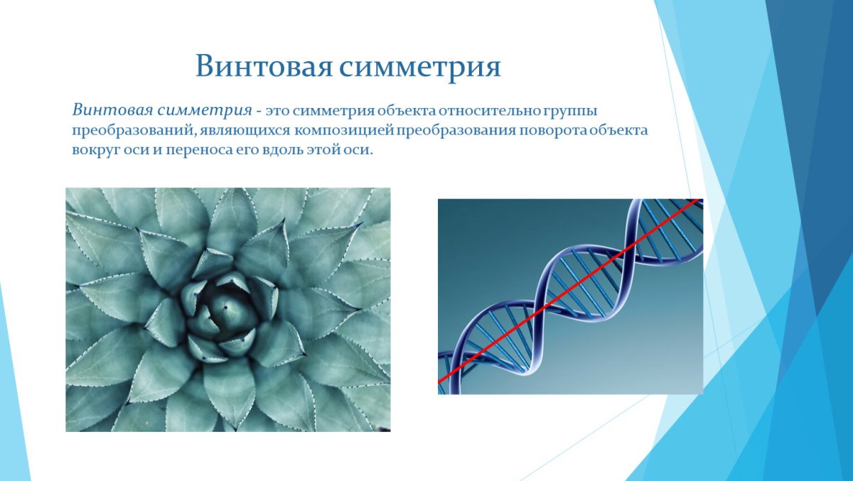 Винтовая симметрия