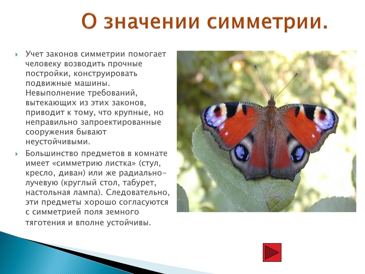 Симметрия в природе презентация